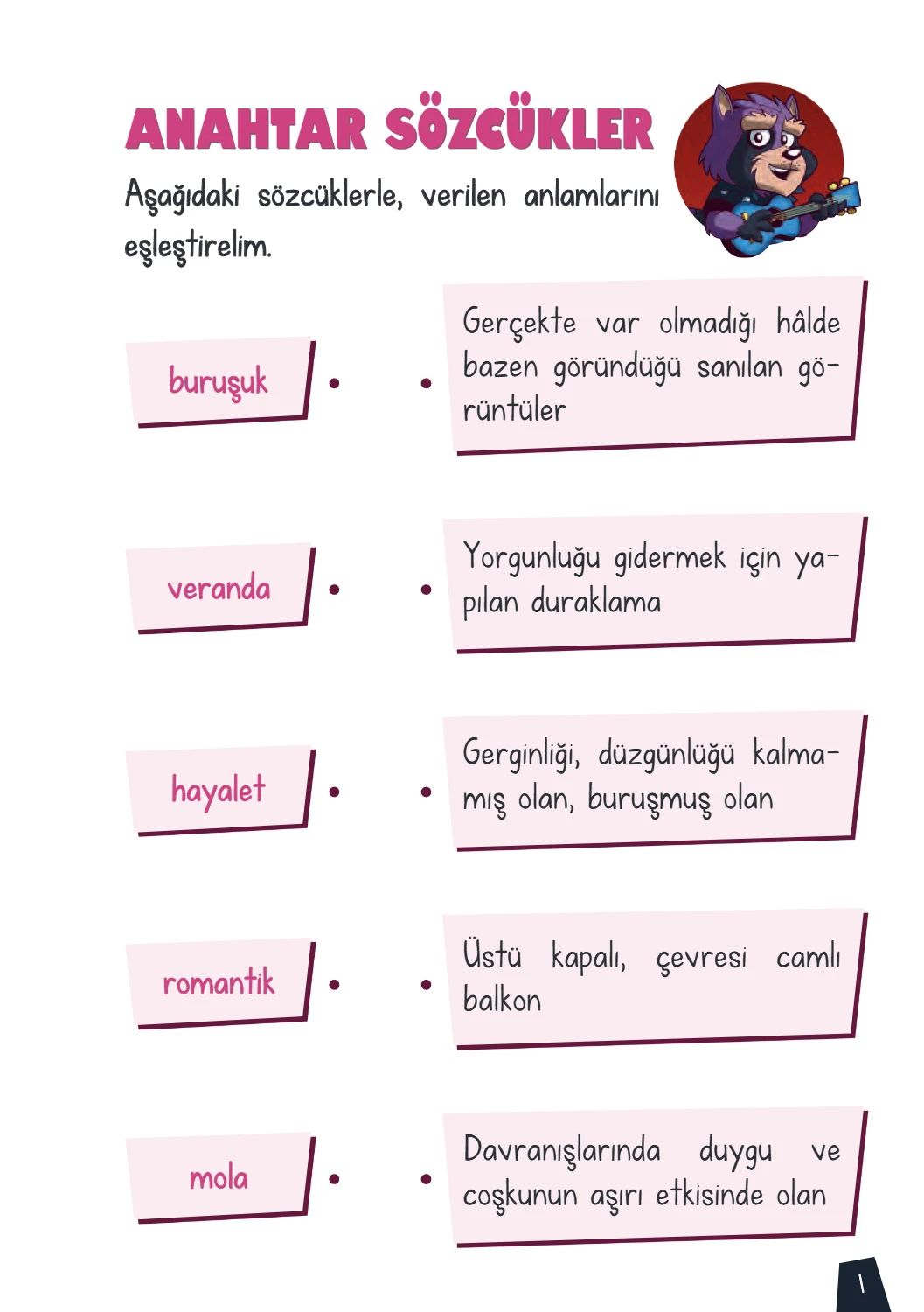 Rakun Roll – 2