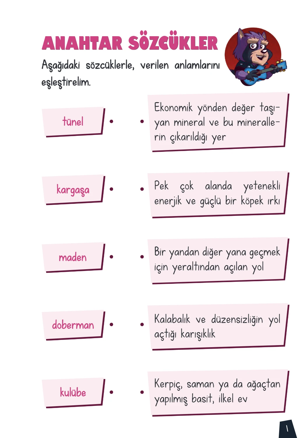Rakun Roll – 3