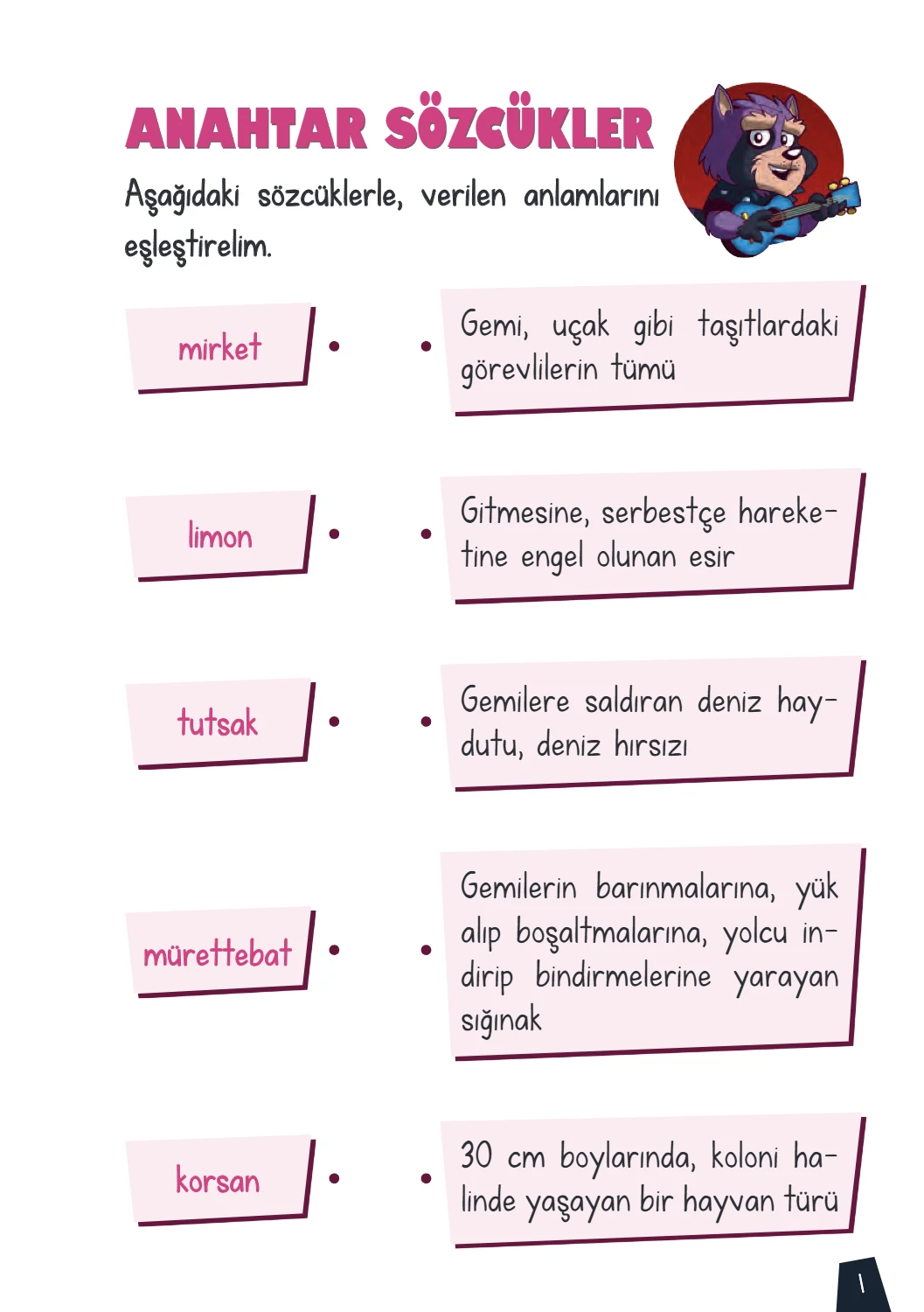 Rakun Roll – 6